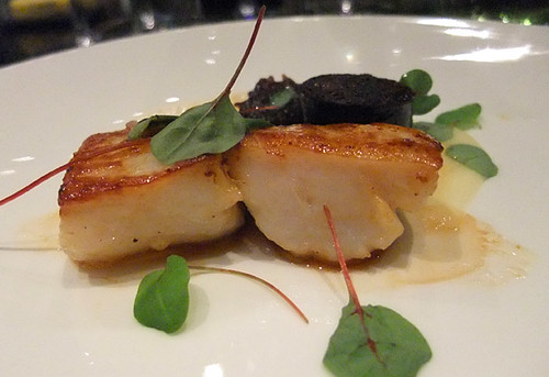 Scallops with black pudding