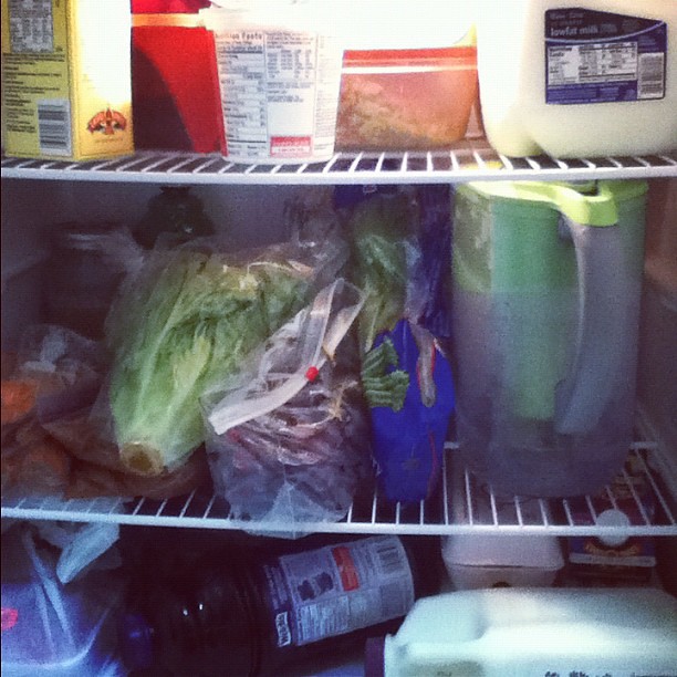 Day 29: inside my fridge. Not very organized! We have a small fridge and I'm about do some freezer cooking...