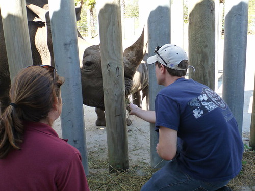 Me Feeding White Rhino