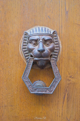 Egyption lion