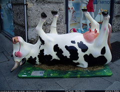Cow Parade - Milano - Italia
