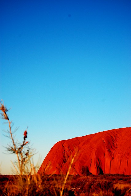 Uluru Half