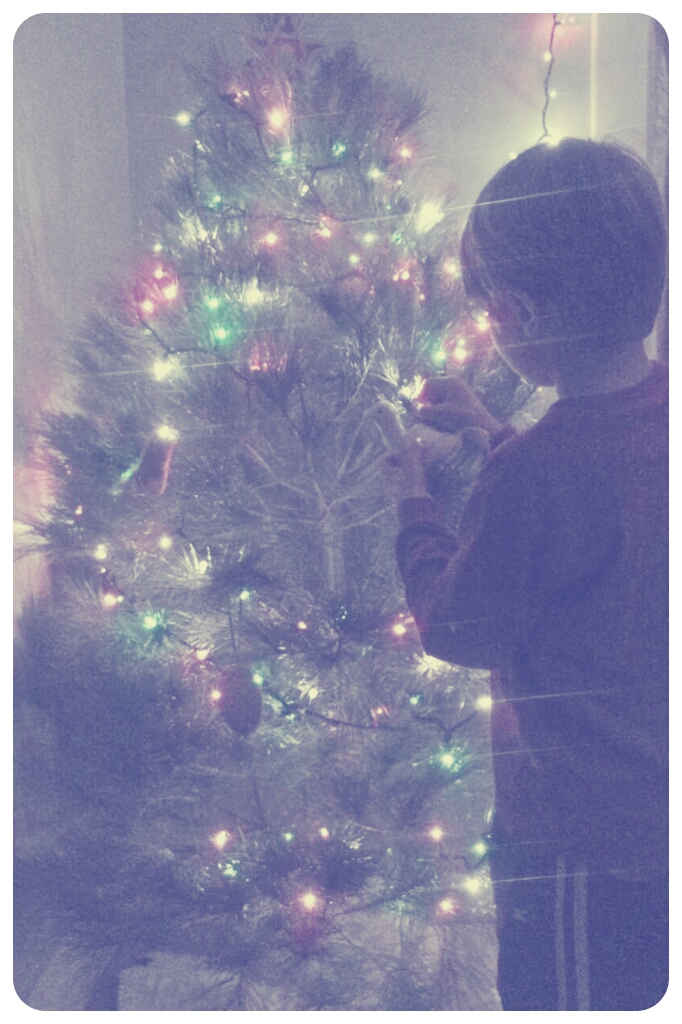 day 2703: odin decorates his Very Own Tree.