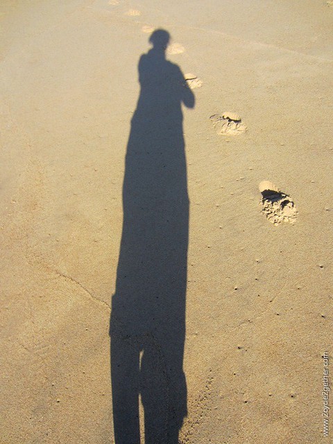 .Marina Dunes Beach : Sheila's Shadow