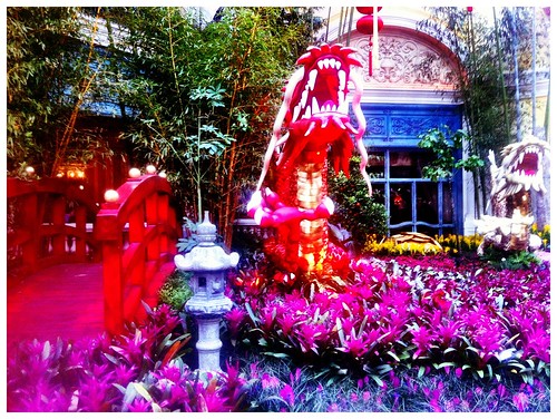 Chinese New Year at Bellagio's Conservatory