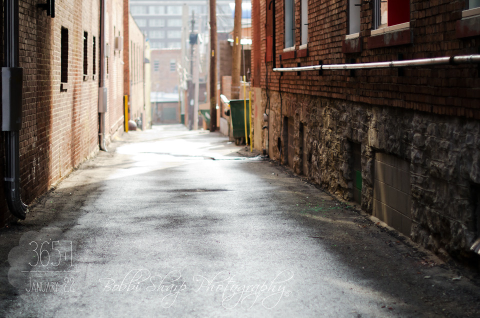 022 | 266 {Mysterious Alley}