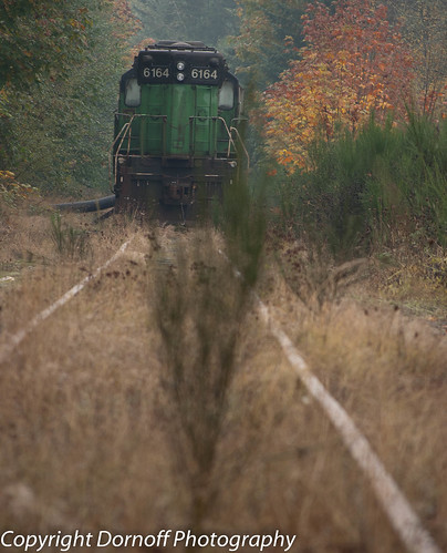 Abandoned Locomotive by Dornoff Photography
