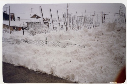 Nevicata 1991 by meteomike