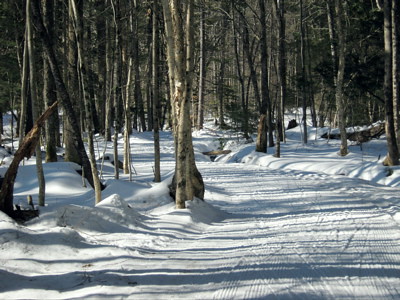Nicely groomed trail