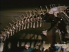 PaleoWorld - The Secrets of Brontosaurus (14)