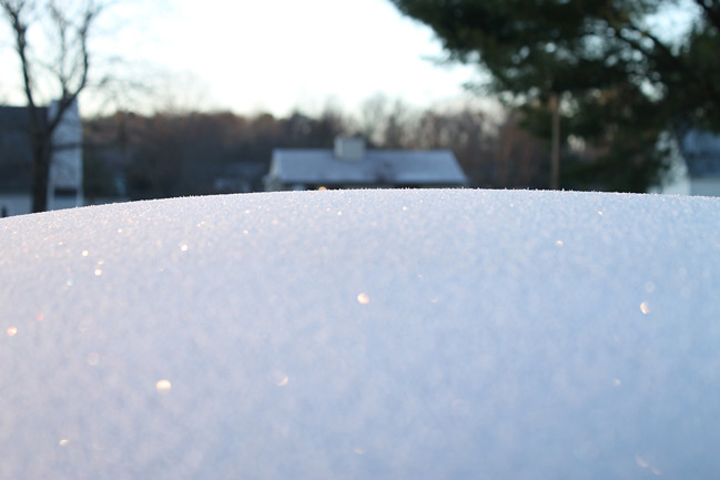 frost_photo4
