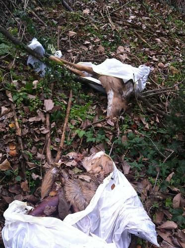 hunters ditched deer parts on northbank trail