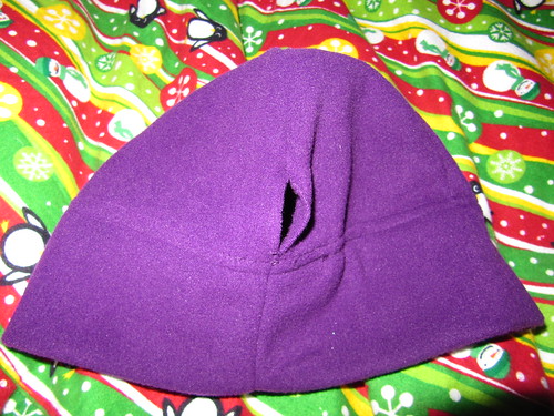ponytail hat