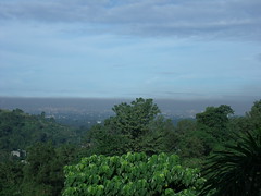 Manila smog
