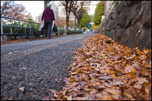 Autumn leaves near Senri-Chou by Eric Flexyourhead (trying to catch up)