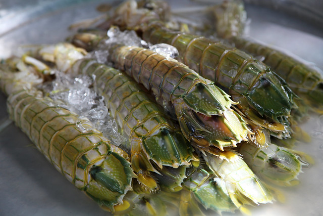 Fresh mantis shrimp at a market in Bangkok, Thailand.