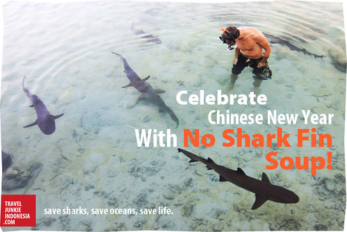 Celebrate Chinese New Year With No Shark Fin Soup!