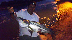 Awesome 19lb Snook