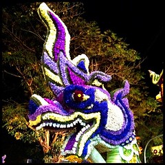 Dragon made out of flowers. Just one detail from amazing floats.