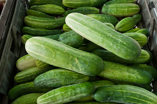 Beginning in 2014, crop insurance will be available as a pilot insurance program for cucumbers in Delaware, Illinois, Indiana, Maryland, Michigan, North Carolina and Texas.