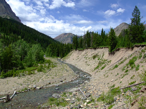 Bauerman Creek
