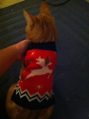 Rocket's new "ugly sweater" from Target