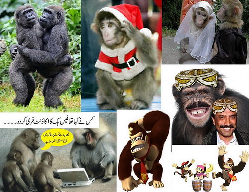 Zoos and Wildlife Breeding Centers of Pakistan