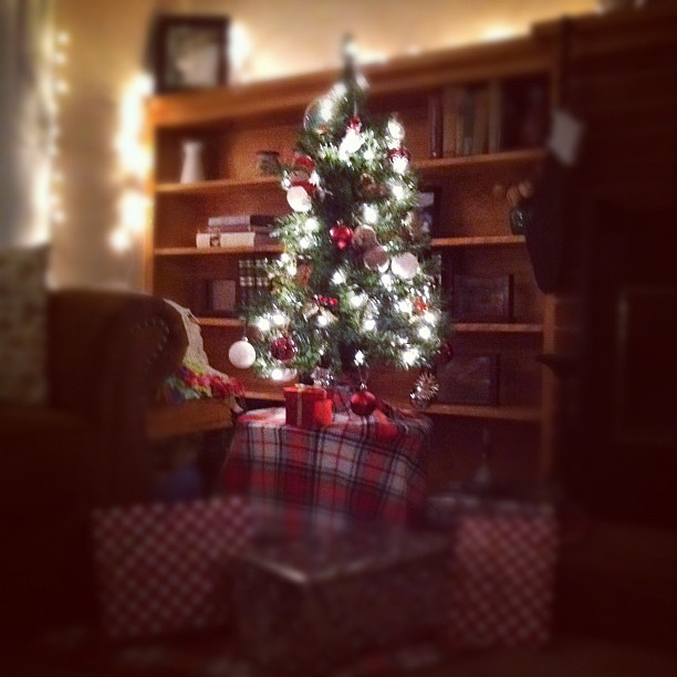A little compromise and I got my little tree! Huge smile on my face looking at this in the living room! :-)