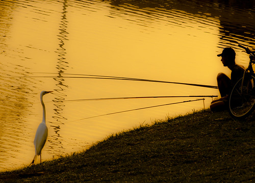 A Garça e o Pescador/The Egret and the Fisherman by Junior AmoJr