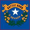 Nevada flag detail