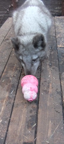 Mr Sapphire and the pink Kong