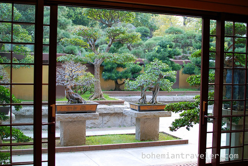 Nan Lian Gardens Bonsai trees