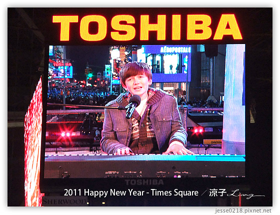 2011 Happy New Year - Times Square 15