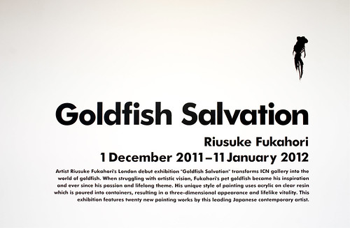 Exhibition Introduction, Riusuke Fukahori - Goldfish Salvation