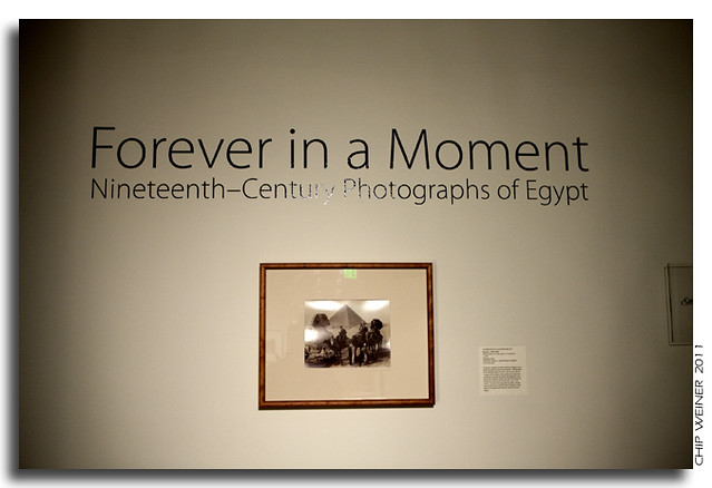 Banner for Forever in a Moment Photography Exhibit
