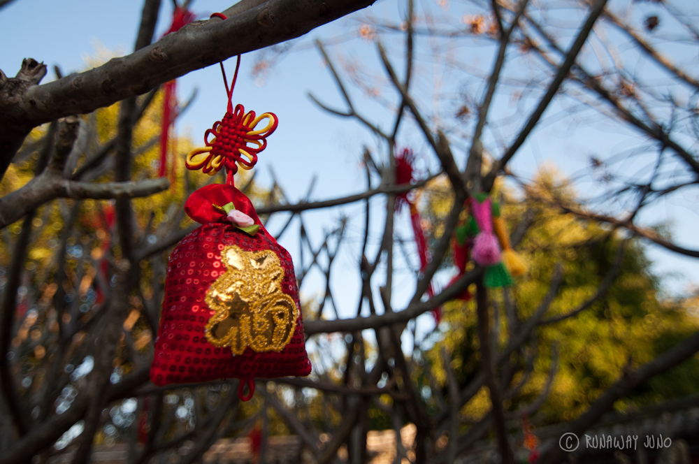 Chinese New Year ornament