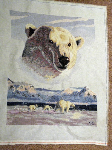 Polar Bear 10 - Finish!