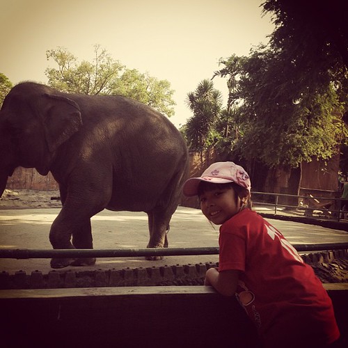 Sobrang Excited nong nakita ang elephant. @ Manila Zoo