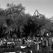 Holt Cemetery, New Orleans.