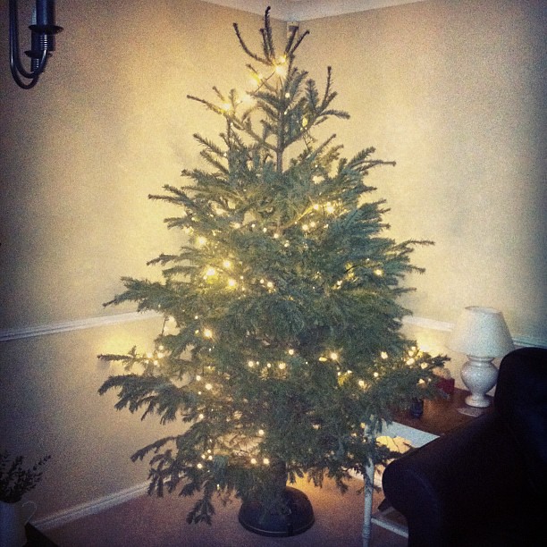 Oh Christmas tree, oh christmas tree..