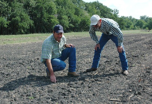 Stuart Fisher, left, shows NRCS soil scientist Tom Clark new grass growth.