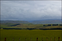 Landscape along the Napier-Taihape Road