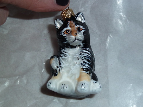 Cat With Strange Look Ornament