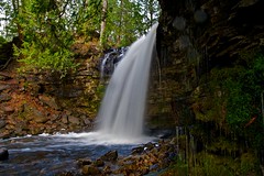 Hilton Falls/Kelso Conservation Areas 
