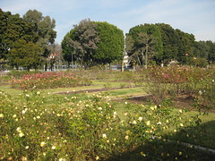 Science Center and Rose Garden