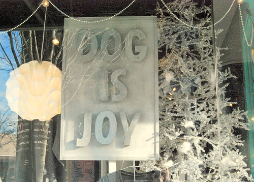 Dog Is Joy