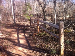  Fence Along Trail 