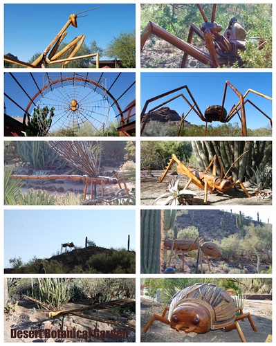 Desert Botanical Gardens Bug Art Exhibit