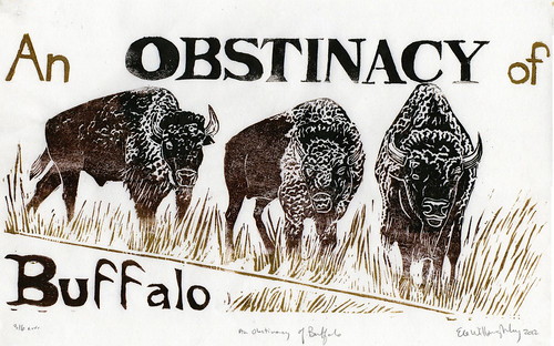 an OBSTINACY of buffalo