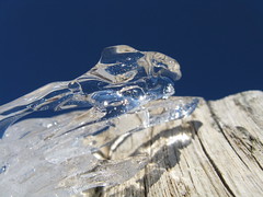 Forme di ghiaccio